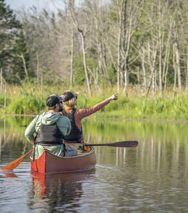 a couple sits in a canoe pointing to the lush nature beyond