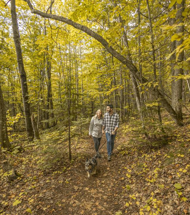 Fall Hike