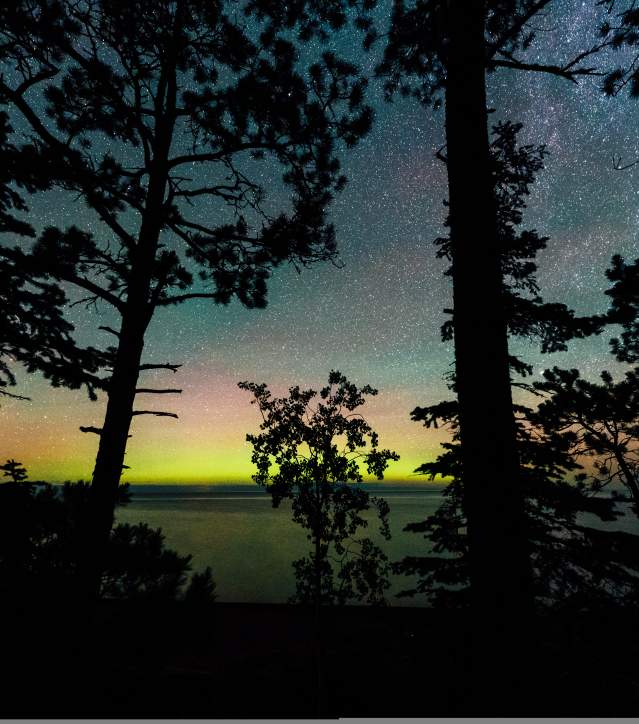 starry night sky and aurora glow through trees