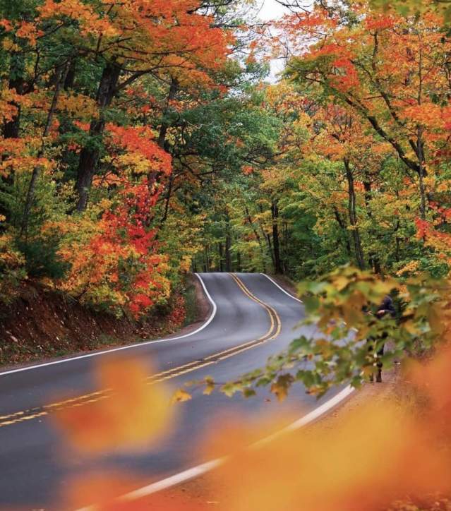 Tunnel of trees along US 41 near Copper Harbor