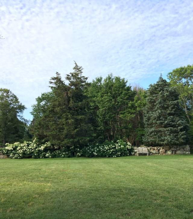 West Tisbury