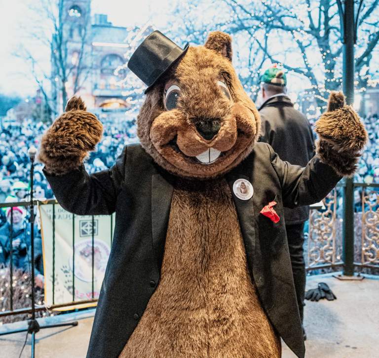 Groundhog Days Prognostication