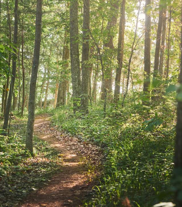 A beautiful green trail at Double Oak Park, just outside of Birmingham, Alabama, is ready for mountain bikers and hikers to enjoy on a sunny day.