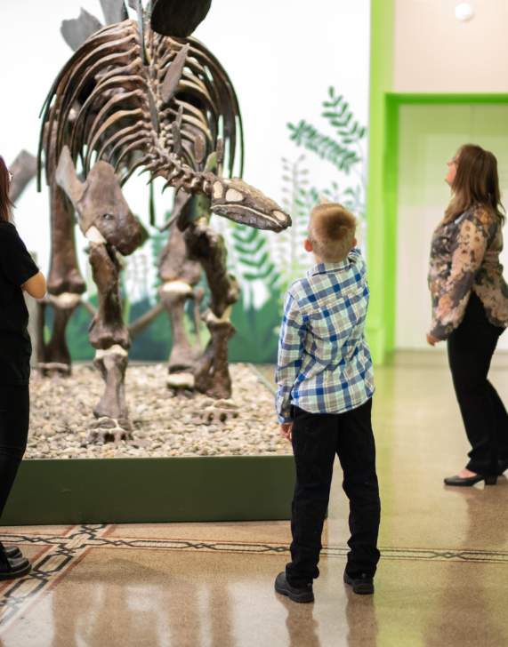 museum