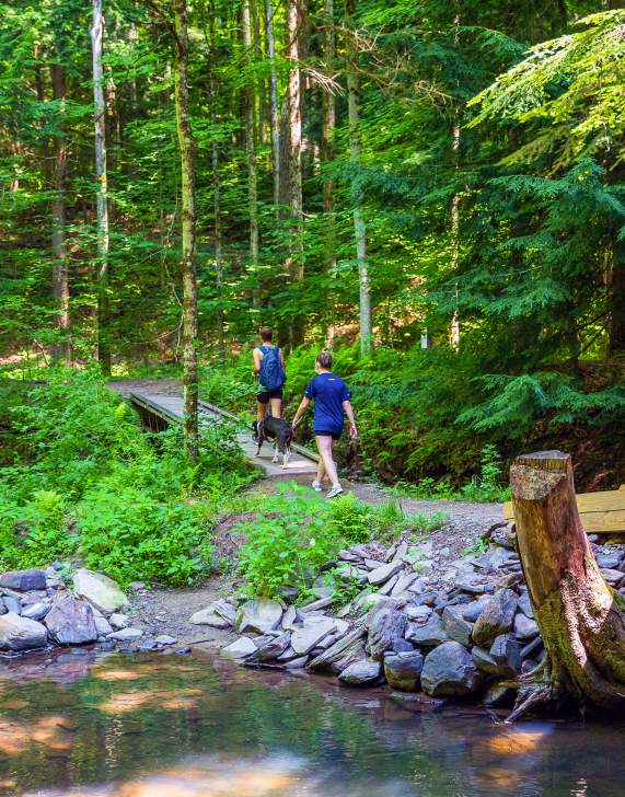 Lackawanna State Park Hiking