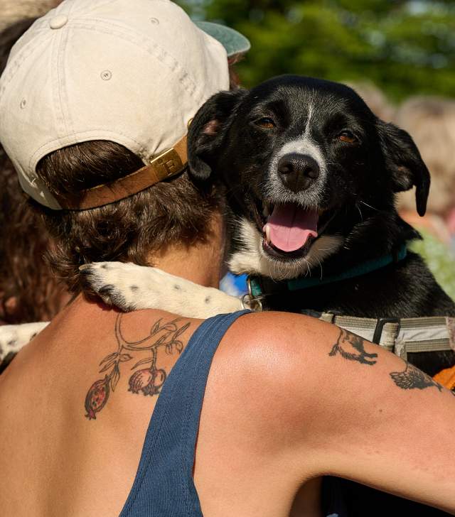 owner embraces its happy dog