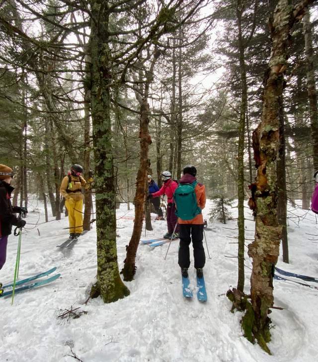 skiers skinning in Vermont woods in winter