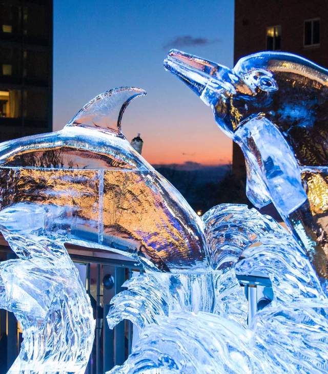 ice sculpture of dolphins at Hotel Vermont's Ice Bar