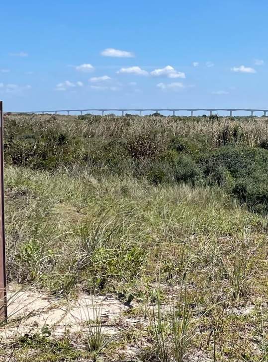 Great Outer Banks Hikes