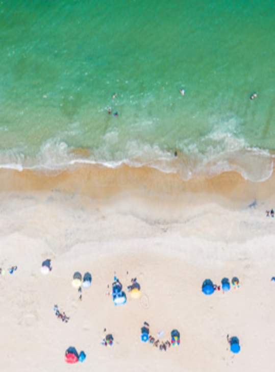 visitors enjoying a day at the beach