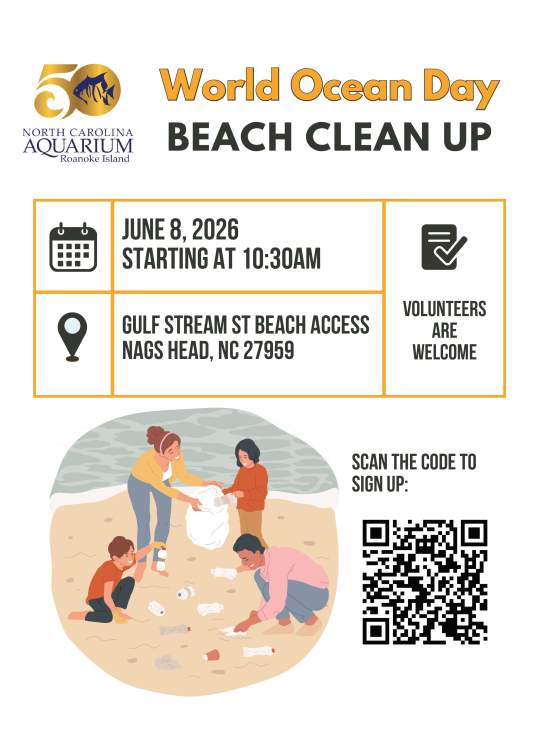 World Ocean Day Beach Cleanup