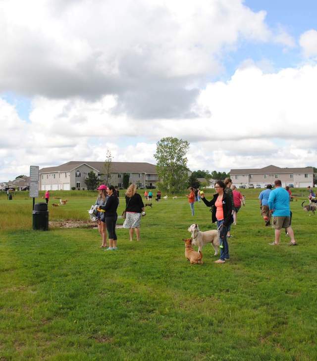 Event held at the Bellevue Dog Park