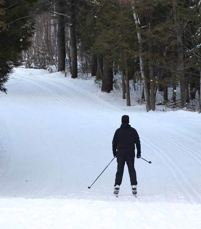 Man cross country skiing on a wooded trail
