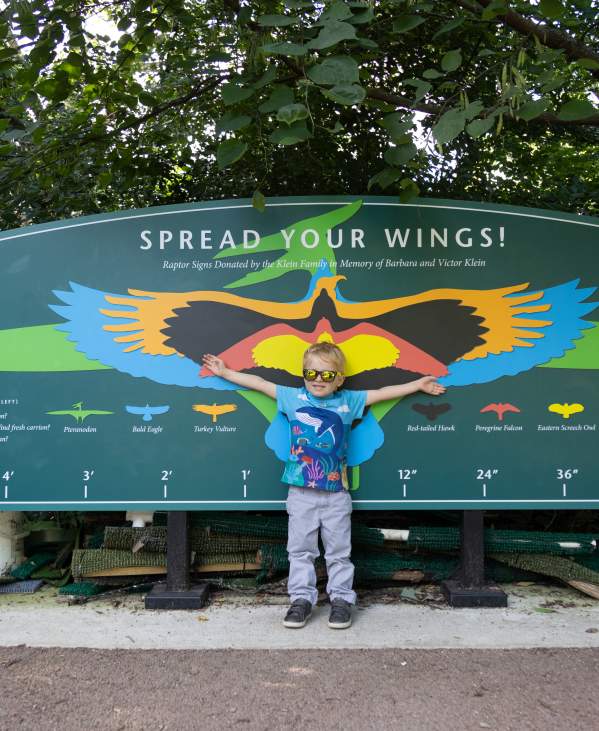 Young boy spreading arms on a colorful bird wing span chart