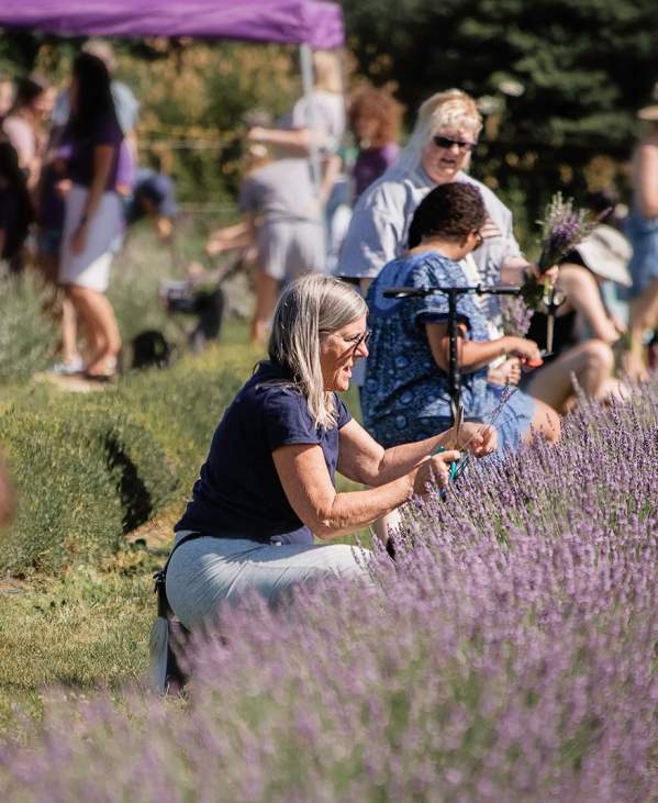 Everything to Know About Milan's Lavender Harvest Festival