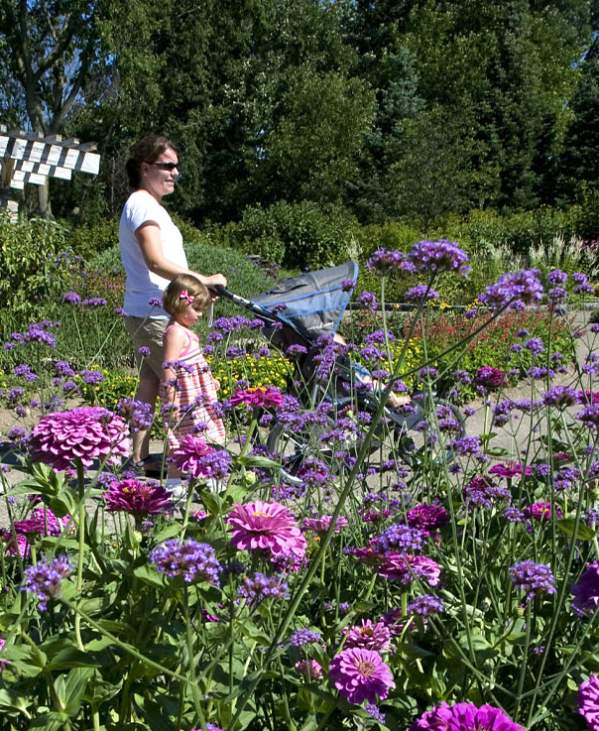 10 Free Family Fun Activities in the Ann Arbor Area