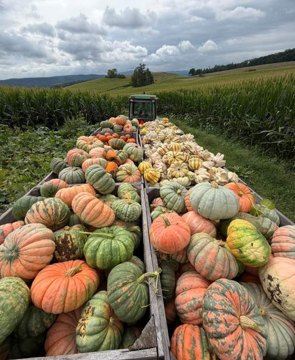 Forget the Staged Pumpkin Patch: Bedford County, PA is the Answer for Authentic Autumn Vibes