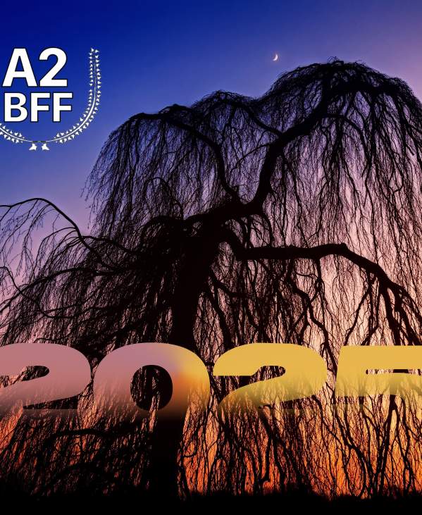 The 2025 Ann Arbor Black Film Festival