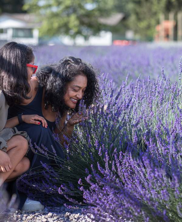 Milan Lavender Harvest Festival
