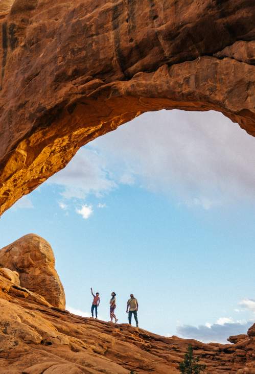 Arches Windows