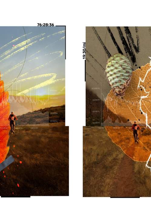 Lee Willett Collages 01