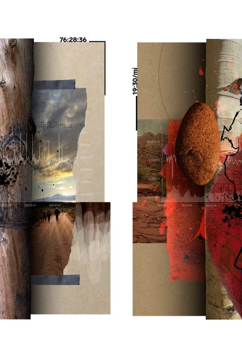 Lee Willett collages 02