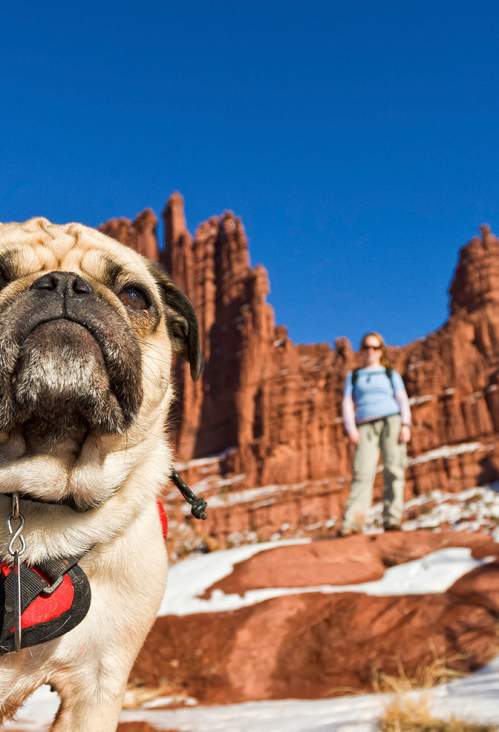Pet friendly hiking at Fisher Towers
