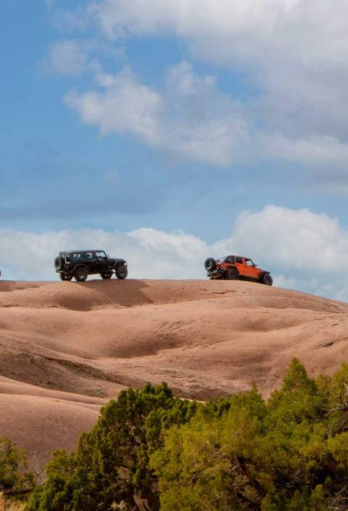 Jeep safari