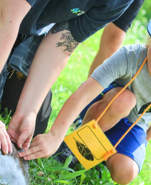 Inspiring Young Naturalists: Summer Camp at the Natural History Museum