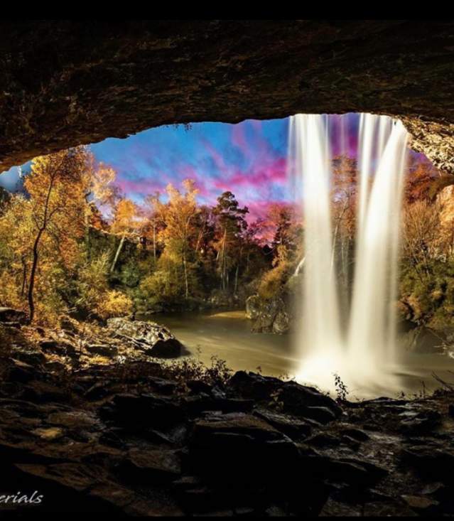 justin carter 2020 ambassador