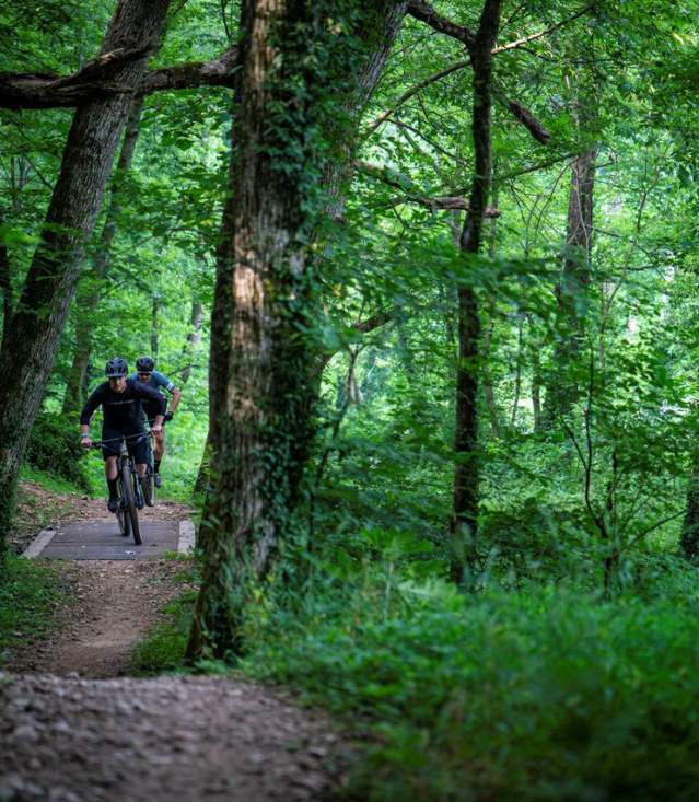 Coler Mountain Bike Preserve Trail