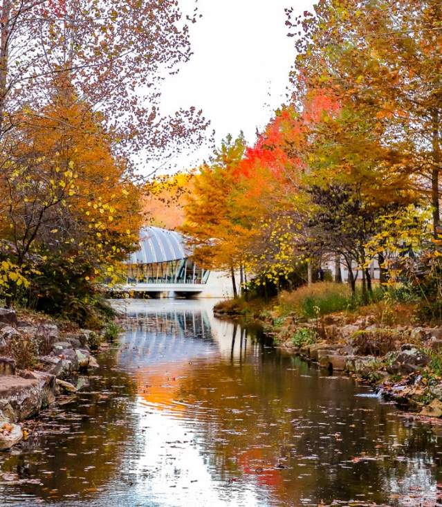 Crystal Bridges in Fall