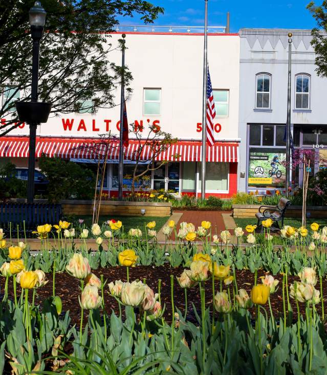Downtown Spring
