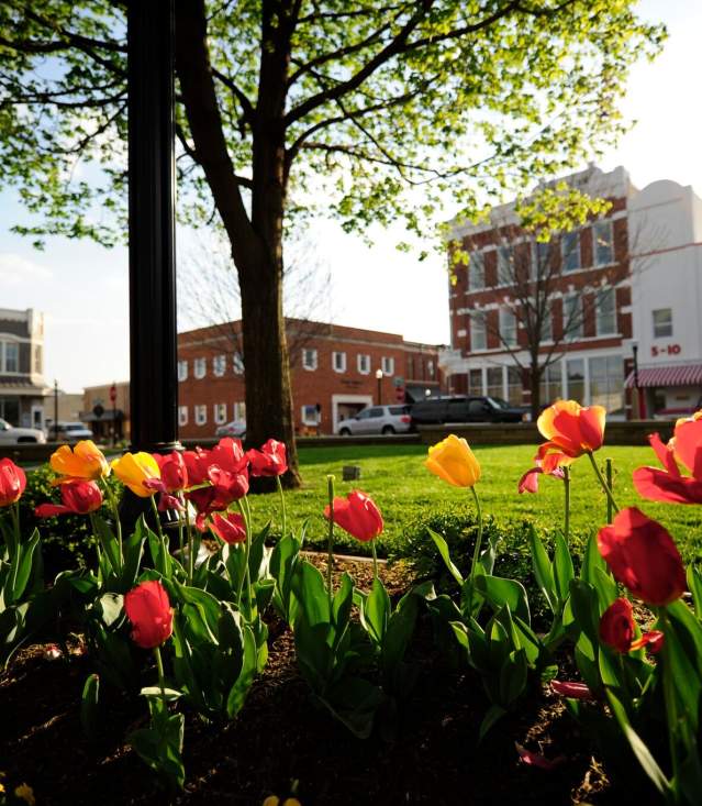 Shopping in Bentonville AR