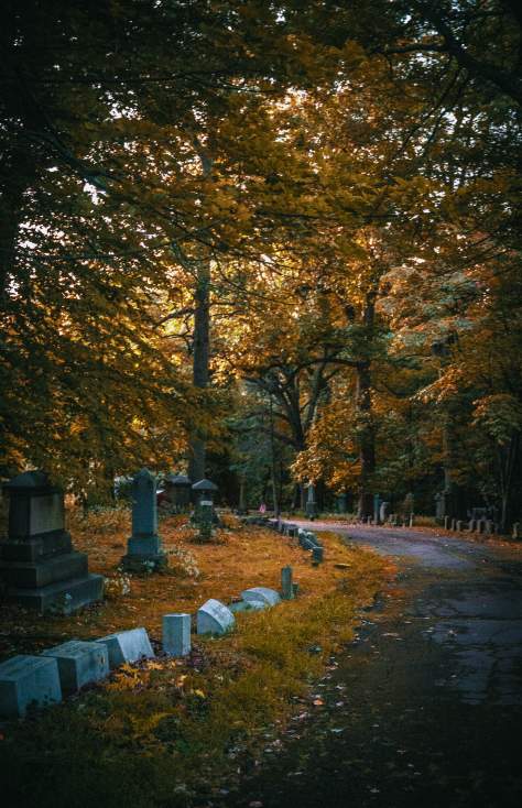 Forest Hills Cemetery in Dunmore, PA