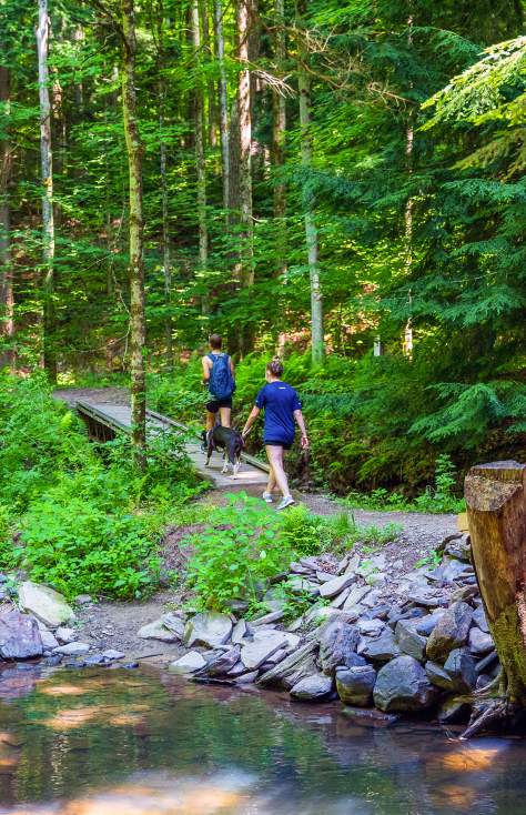 Lackawanna State Park Hiking