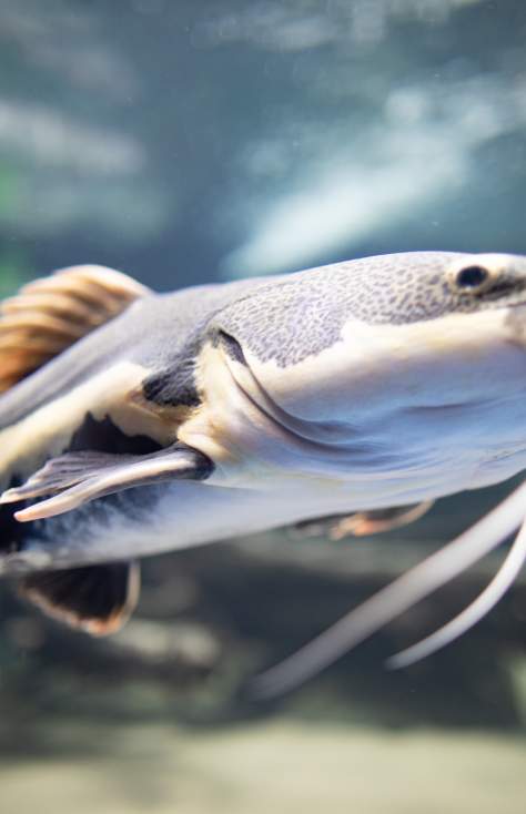 The Electric City Aquarium in Scranton, PA