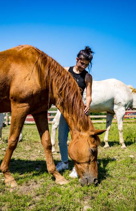 Indraloka Animal Sanctuary in Dalton, PA