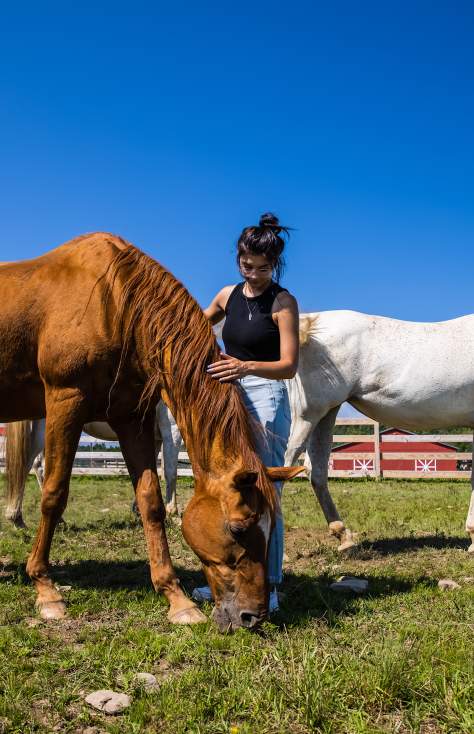 Indraloka Animal Sanctuary
