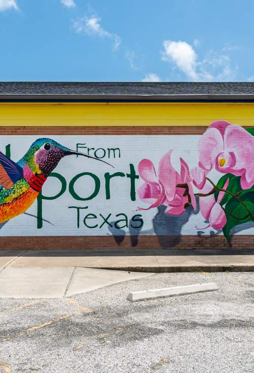 downtown hummingbird mural
