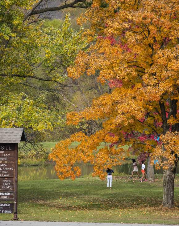 Fall Foliage hikes, bikes, and drives in KCK