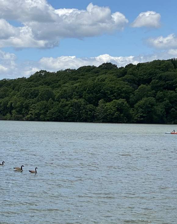 Kansas City, KS Parks Guide
