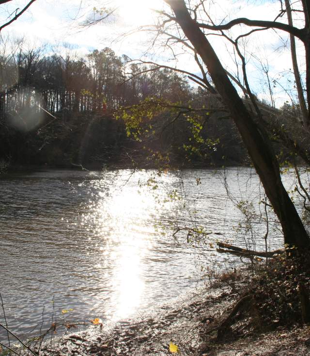 View of Fayetteville Area River