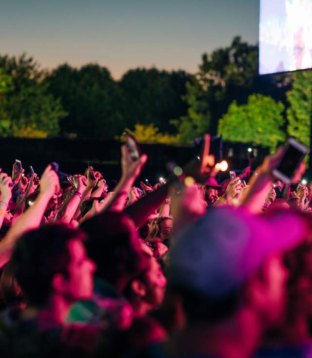 A crowd of people with their hands in the air at a music festival