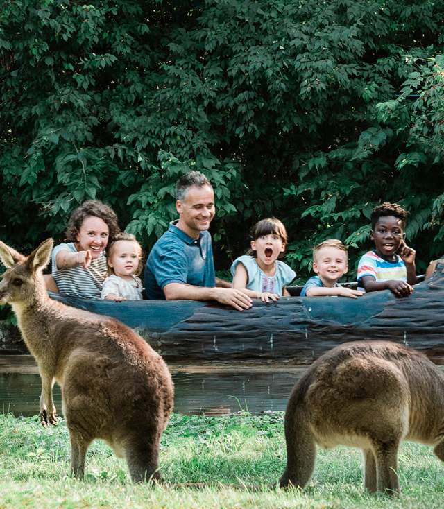 Fort Wayne Children's Zoo Kangaroo and Log Ride Jigsaw Puzzle Photo