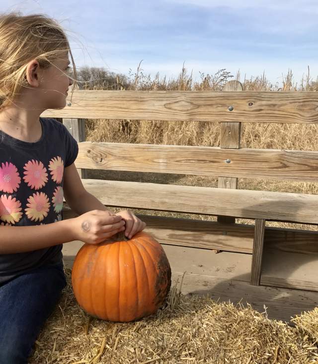 hay rack ride with pumpkin at Bellevue Berry and Pumpkin Ranch