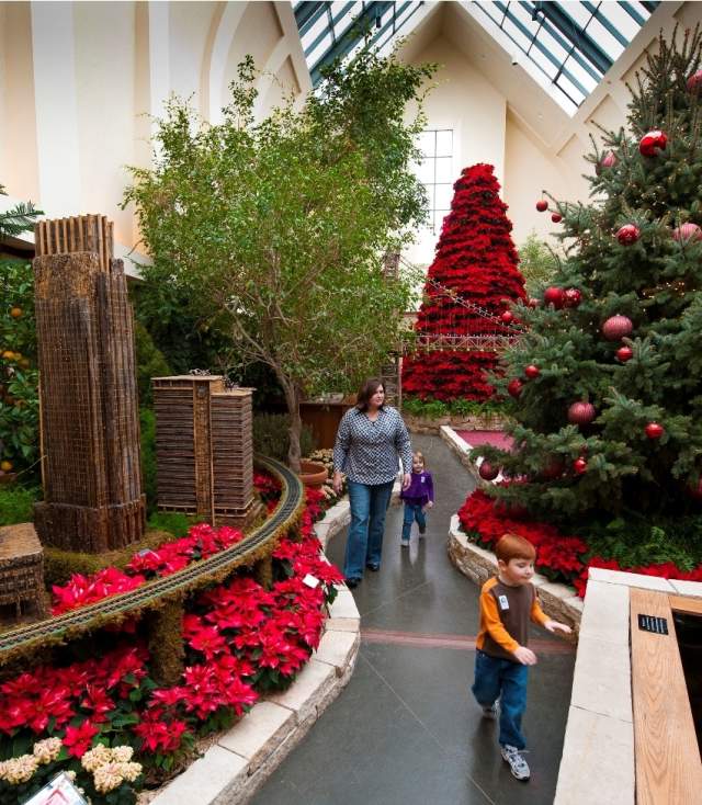 Lauritzen Garden's Poinsettia Show