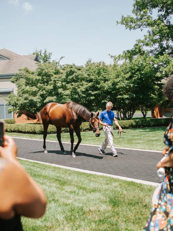 Top 13 Things to Do in Lexington, Kentucky