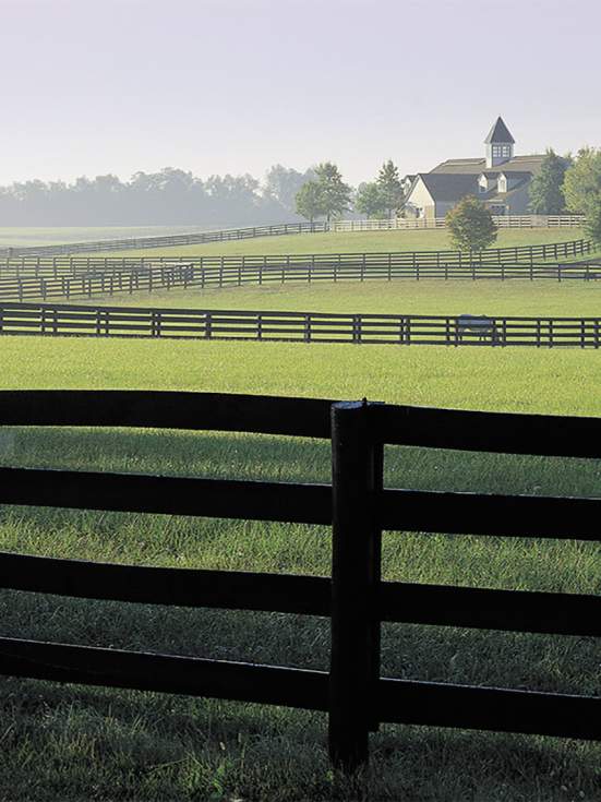 Cynthia Bohn’s Horse Country Picks