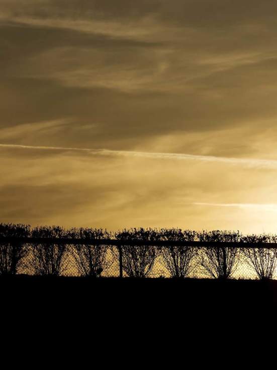 The Magic of Keeneland
